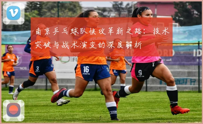 南京乒乓球队快攻革新之路：技术突破与战术演变的深度解析