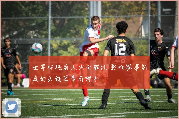 世界杯观看人次全解读 影响赛事热度的关键因素有哪些