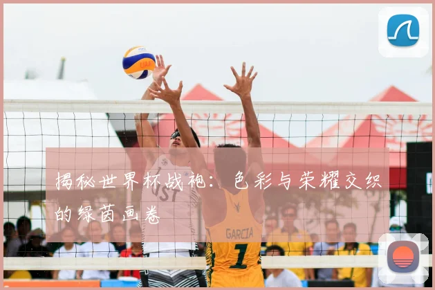 揭秘世界杯战袍:色彩与荣耀交织的绿茵画卷
