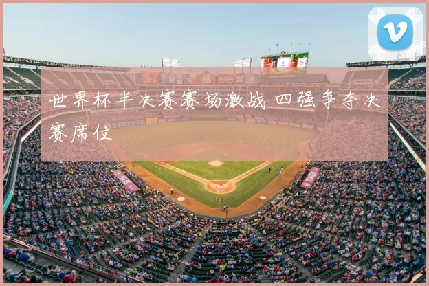 世界杯半决赛赛场激战 四强争夺决赛席位