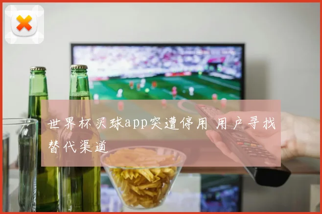 世界杯买球app突遭停用 用户寻找替代渠道