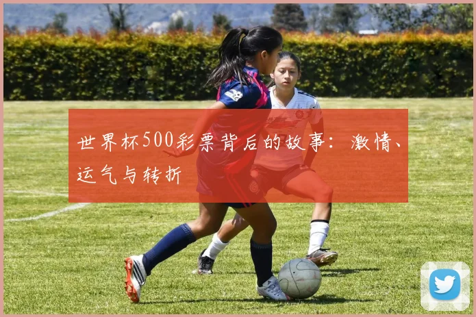 世界杯500彩票背后的故事:激情、运气与转折