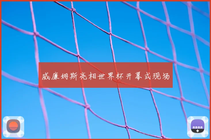 威廉姆斯亮相世界杯开幕式现场