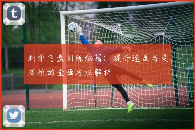 科学飞盘训练秘籍:提升速度与灵活性的全面方法解析