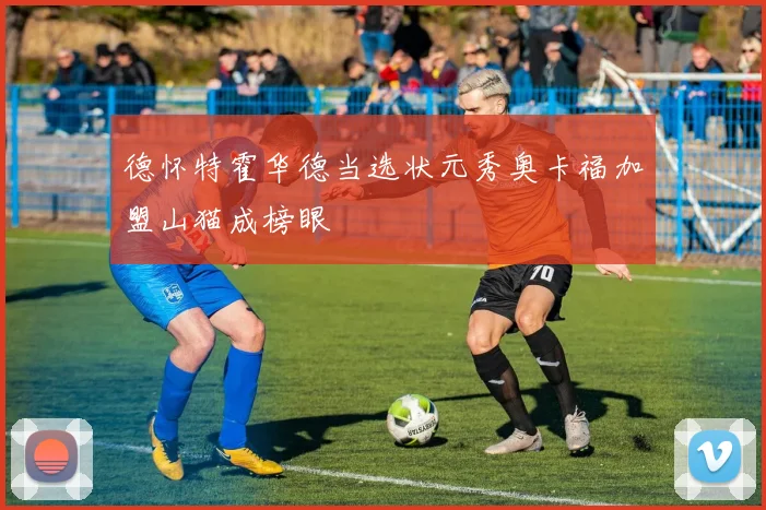 德怀特霍华德当选状元秀奥卡福加盟山猫成榜眼