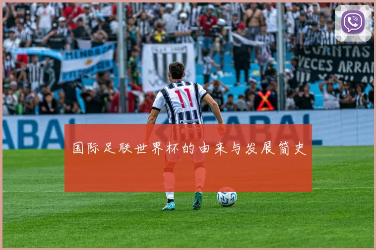 国际足联世界杯的由来与发展简史