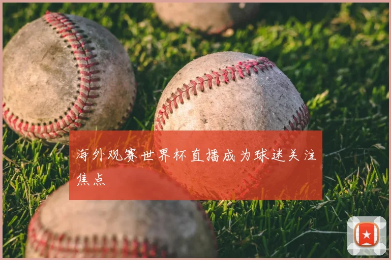 海外观赛世界杯直播成为球迷关注焦点