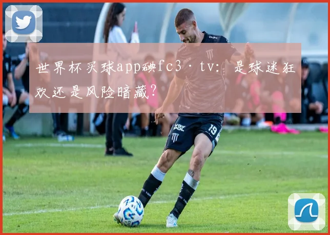 世界杯买球app碘fc3·tv：是球迷狂欢还是风险暗藏？