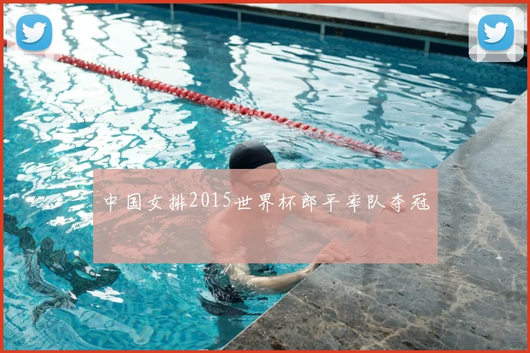 中国女排2015世界杯郎平率队夺冠