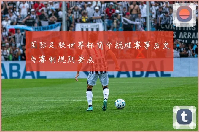 国际足联世界杯简介梳理赛事历史与赛制规则要点