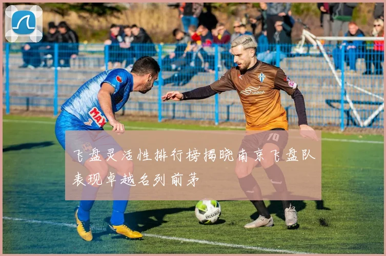 飞盘灵活性排行榜揭晓南京飞盘队表现卓越名列前茅