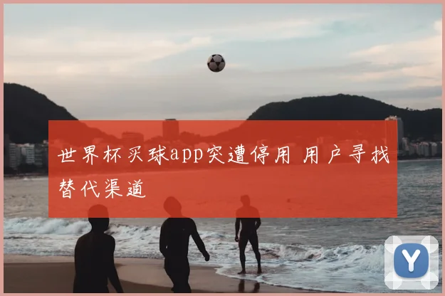 世界杯买球app突遭停用 用户寻找替代渠道