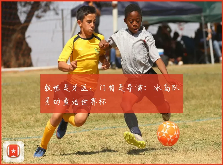 教练是牙医,门将是导演:冰岛队员的童话世界杯