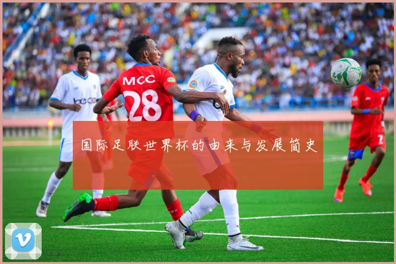 国际足联世界杯的由来与发展简史