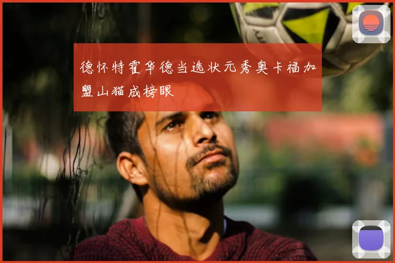 德怀特霍华德当选状元秀奥卡福加盟山猫成榜眼