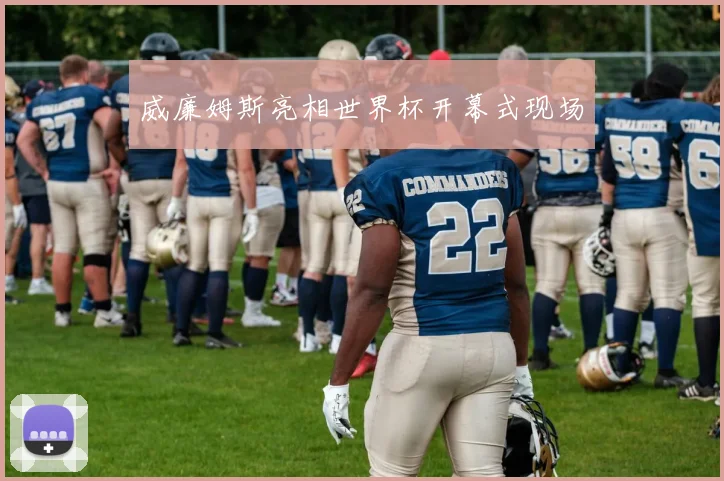 威廉姆斯亮相世界杯开幕式现场