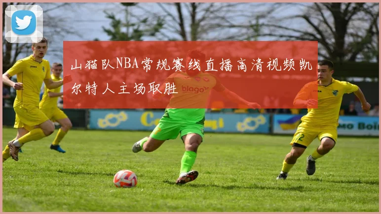 山猫队NBA常规赛线直播高清视频凯尔特人主场取胜