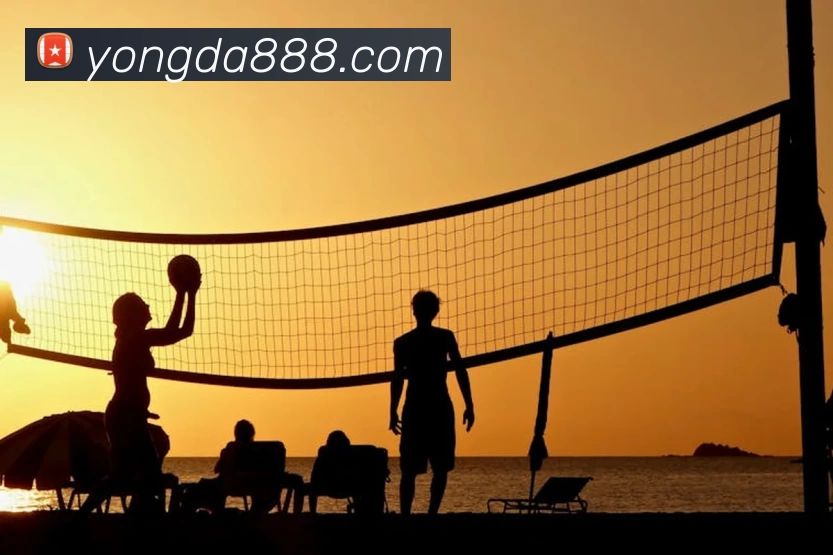 App Interface Preview