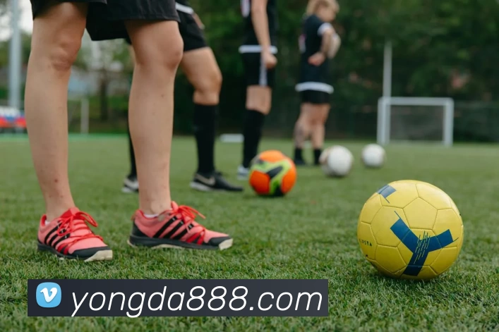 华体会体育APP 封面图